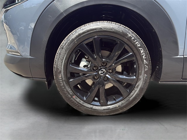 2025 Mazda CX-30 2.5 S Carbon photo 36