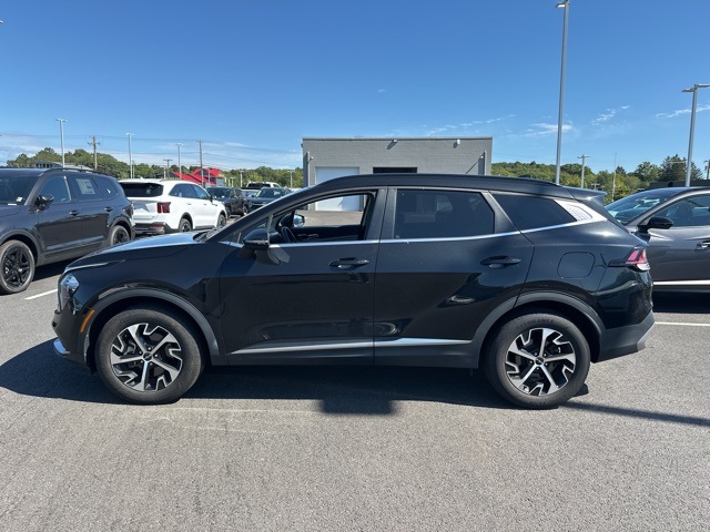 2023 Kia Sportage Hybrid EX photo 4