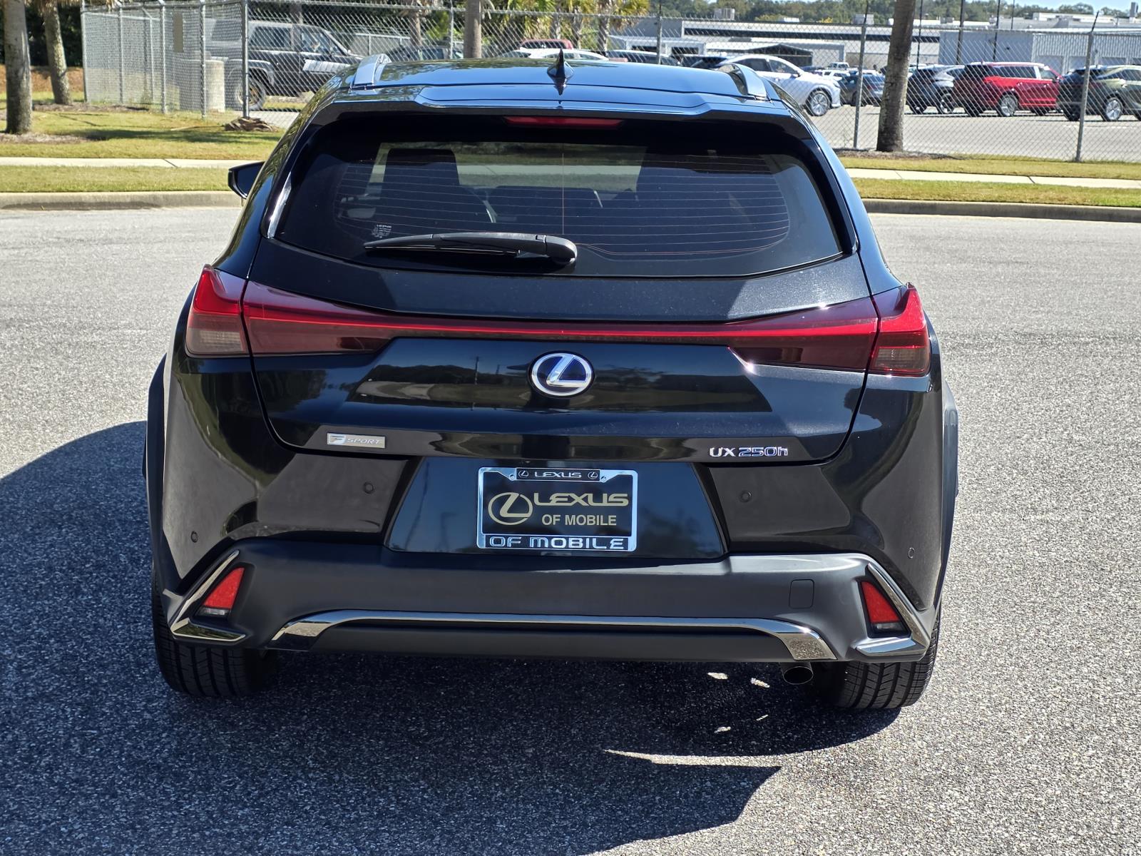 2020 Lexus UX 250h F SPORT Premium photo 3