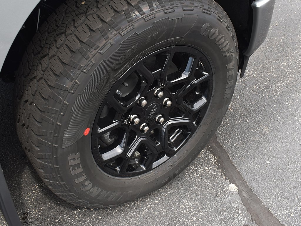 2025 Ford F-150 XLT photo 8