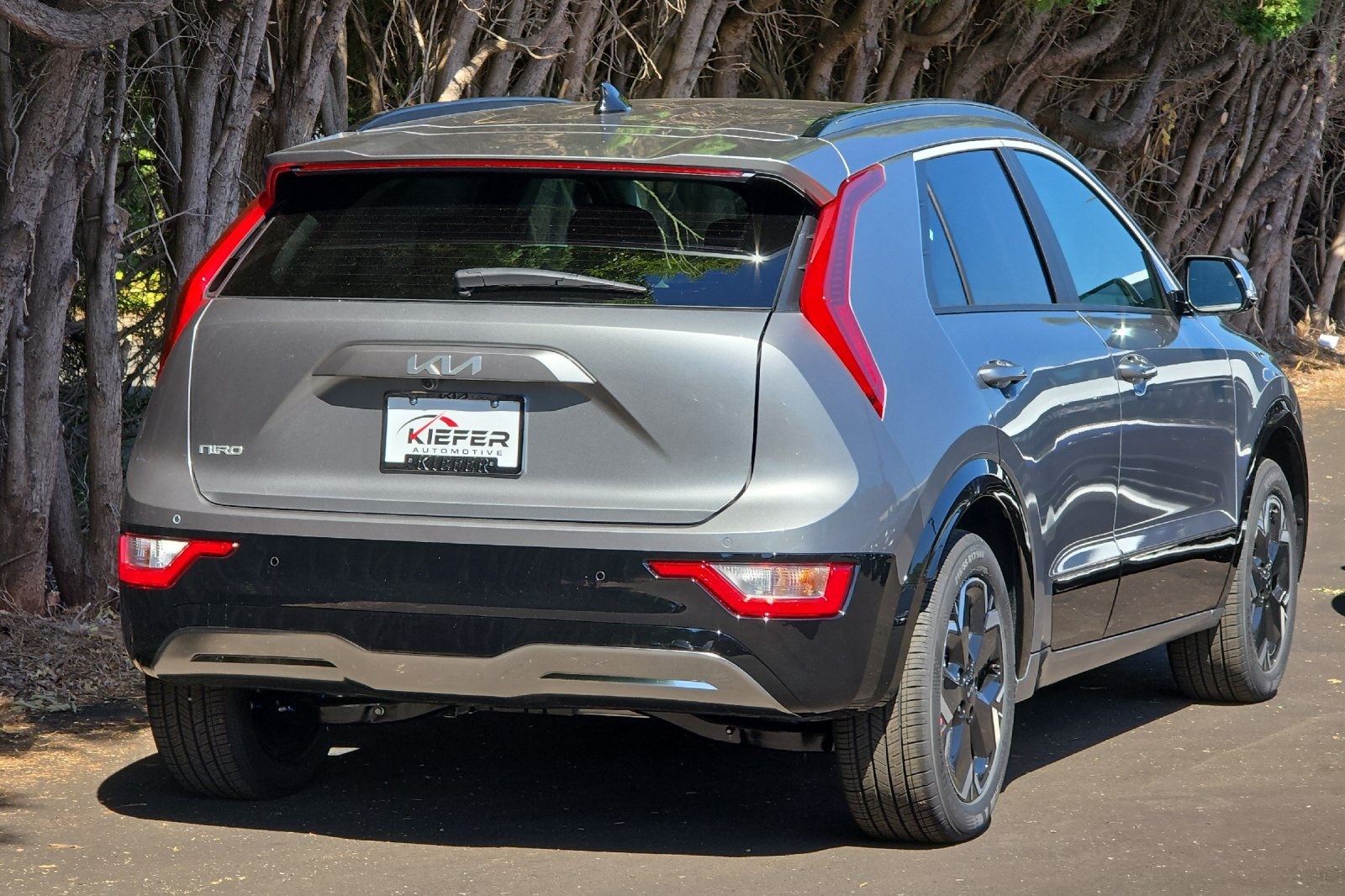 2025 Kia Niro EV Wind photo 3
