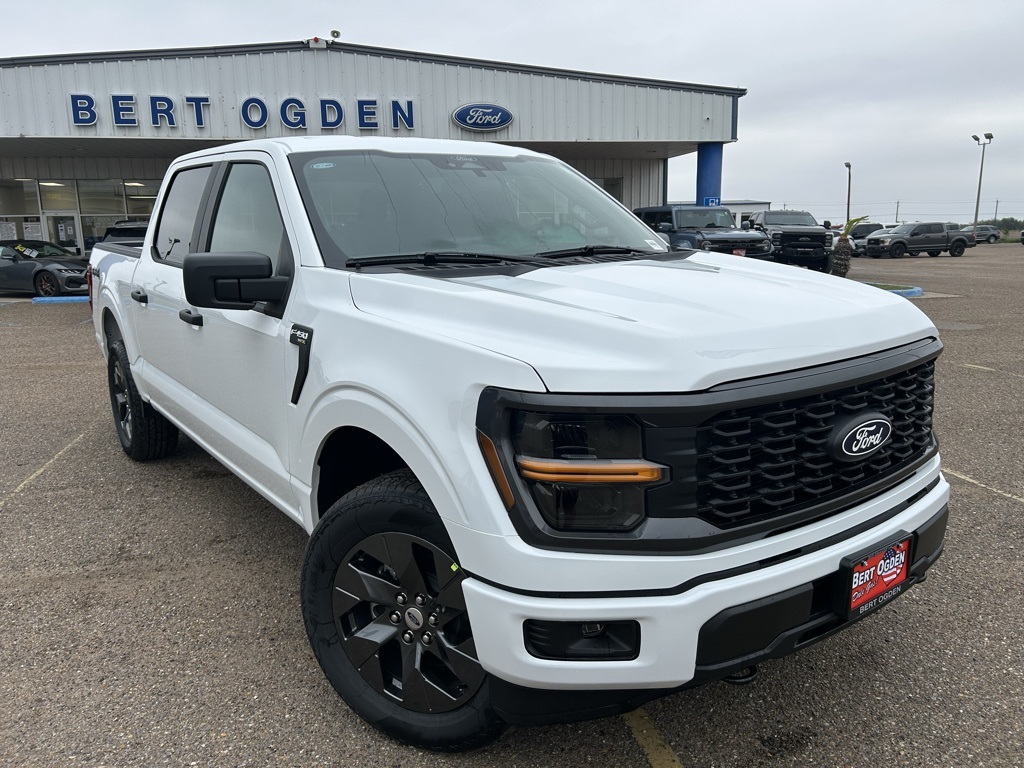 2025 Ford F-150 STX's photo