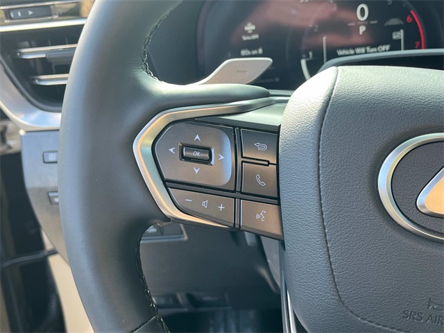 2024 Lexus GX 550 photo 25