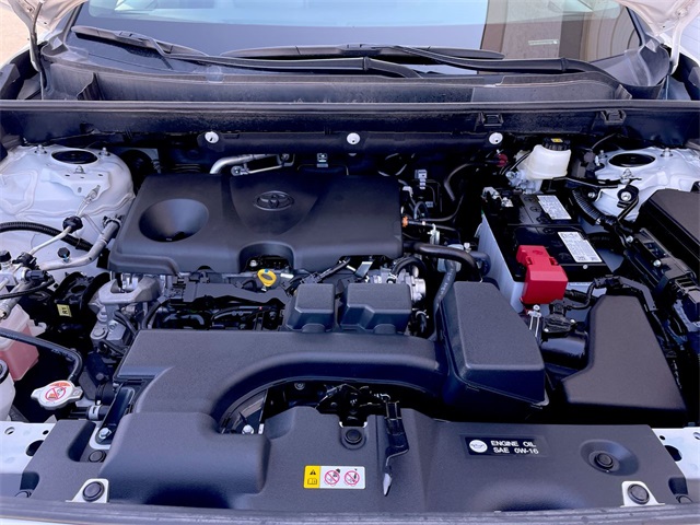 2025 Toyota RAV4 XLE Premium photo 16
