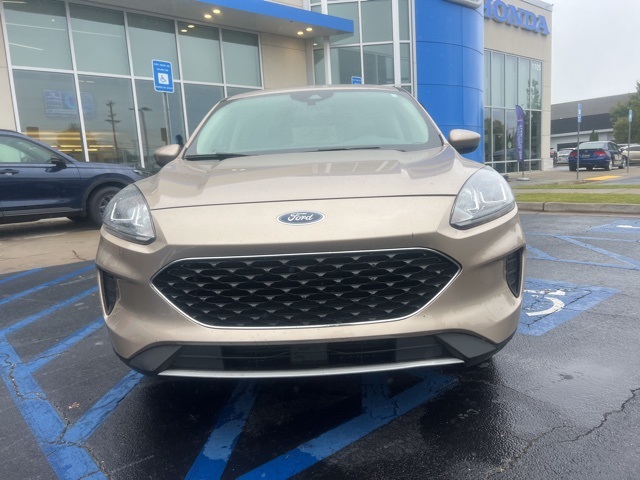 2020 Ford Escape SE photo 2