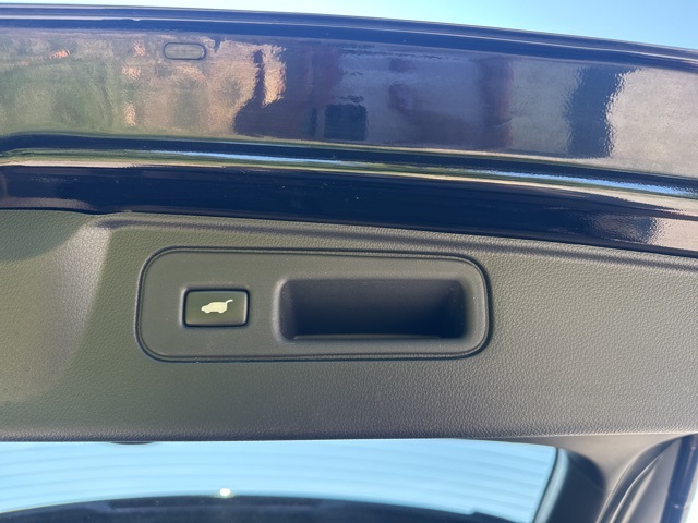 2019 Honda Passport Elite photo 31