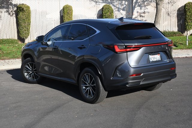 2022 Lexus NX 350h photo 4