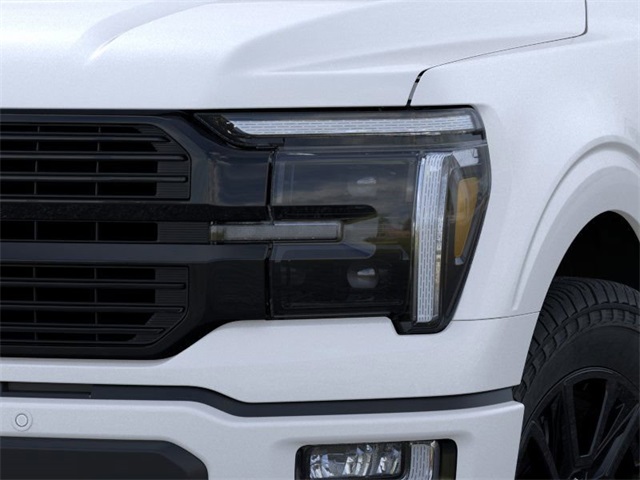 2025 Ford F-150 Platinum photo 15