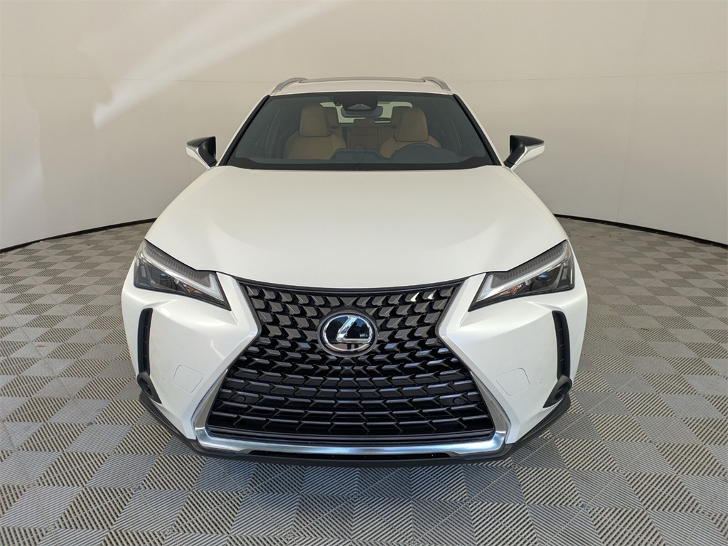 2025 Lexus UX photo 2