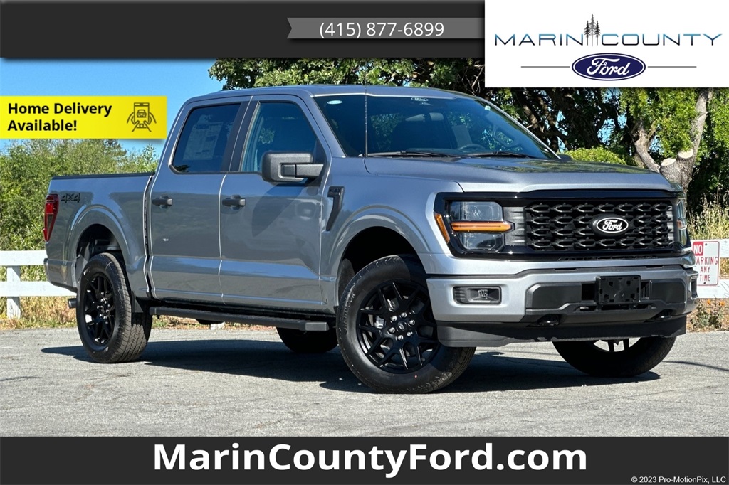 2025 Ford F-150 STX's photo