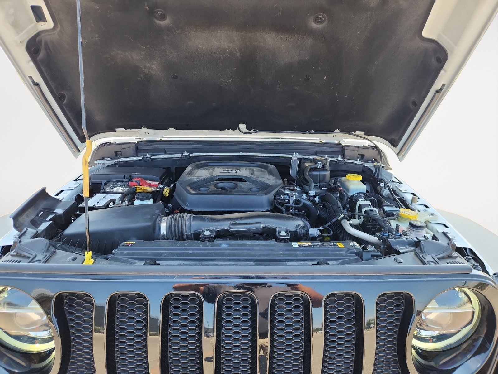 2021 Jeep Wrangler Unlimited Willys photo 24