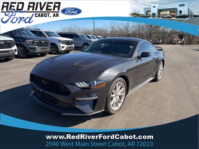 2022 Ford Mustang Mach 1's photo