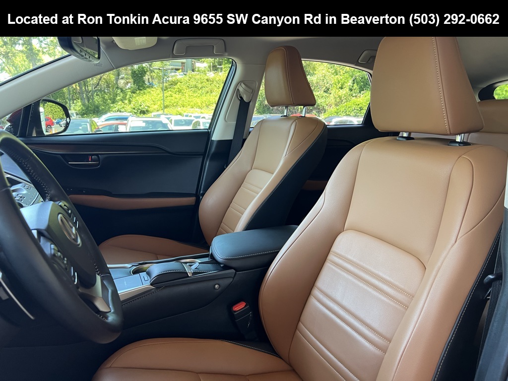 2018 Lexus NX 300 Luxury photo 12