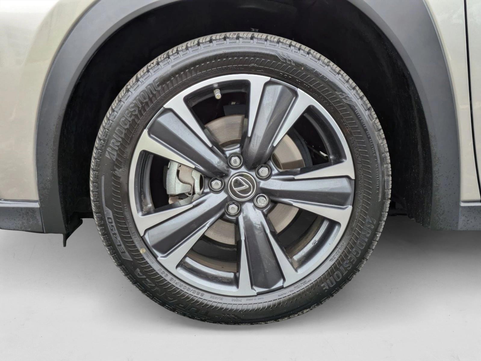 2021 Lexus UX 250h photo 22