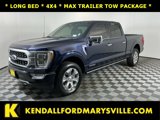 2022 Ford F-150 Platinum's photo