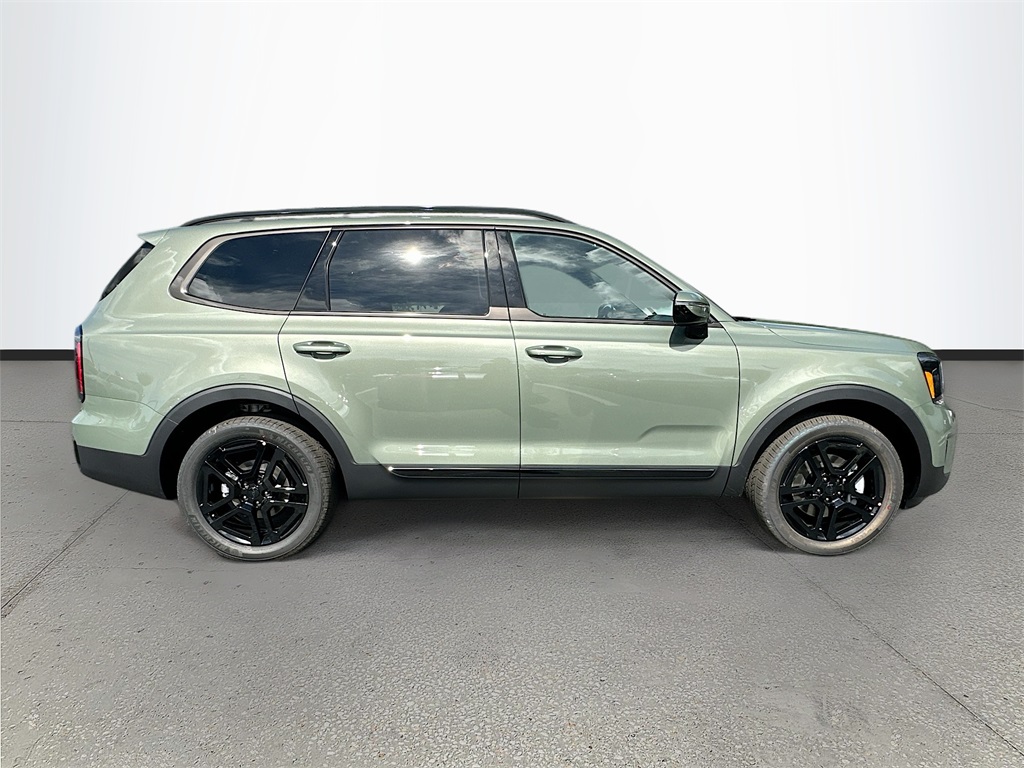 2025 Kia Telluride SX Prestige X-Line photo 8