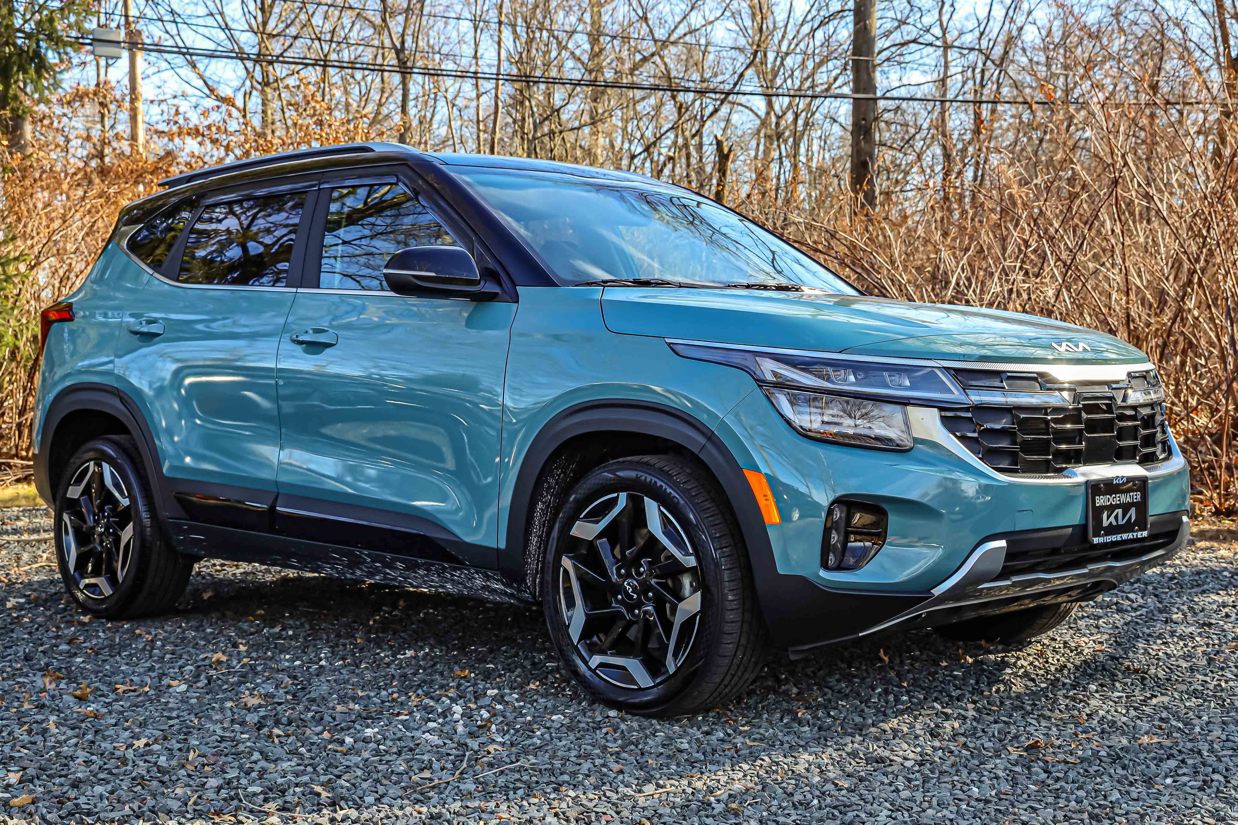 2024 Kia Seltos SX's photo