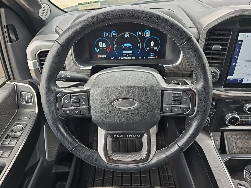 2022 Ford F-150 Platinum photo 11