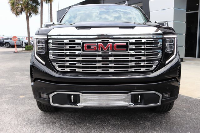 2025 Gmc Sierra 1500 Denali photo 3