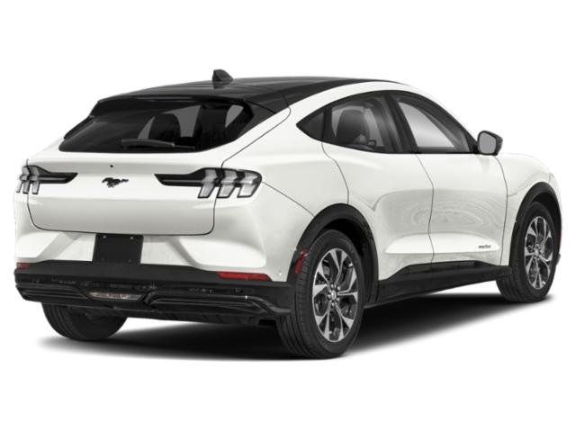 Used 2025 Ford Mustang Mach-E Premium AWD with VIN 3FMTK3SU4SMA03844 for sale in Ann Arbor, MI