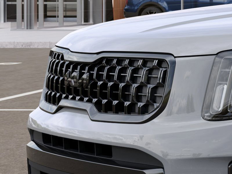 2025 Kia Telluride EX X-Line photo 10