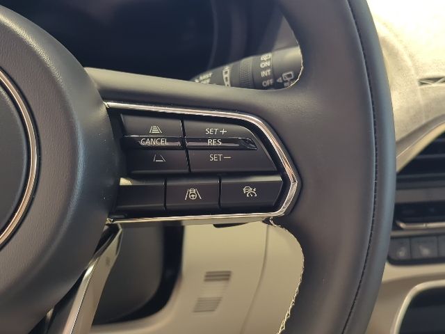 2025 Mazda CX-90 3.3 Turbo Premium Plus photo 22