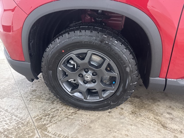 2025 Honda Pilot TrailSport photo 8