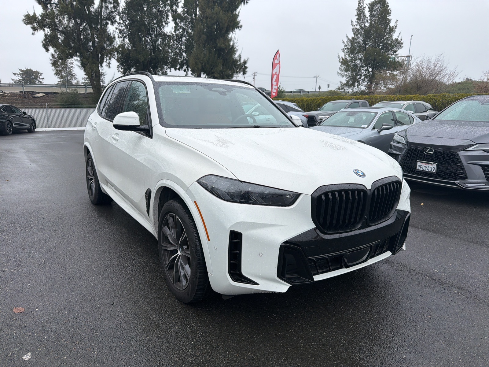 2024 BMW X5 50e's photo