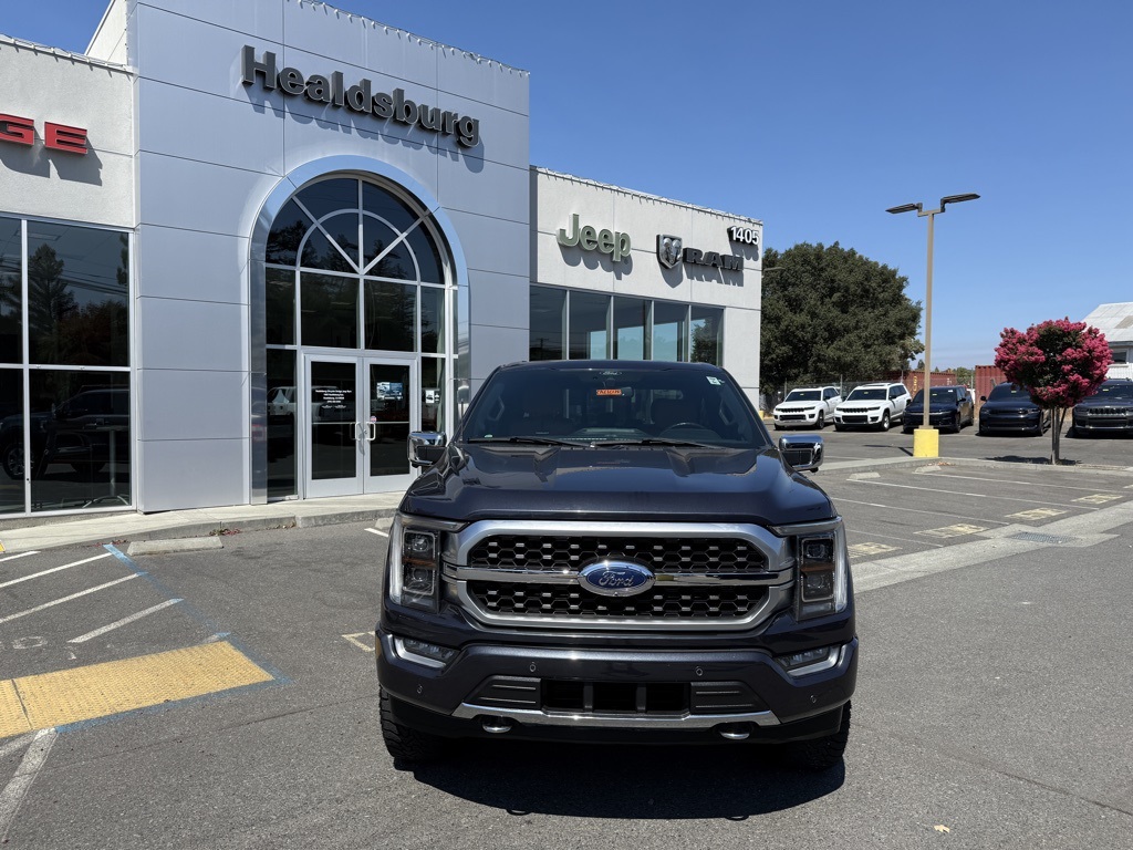 2021 Ford F-150 Platinum photo 7