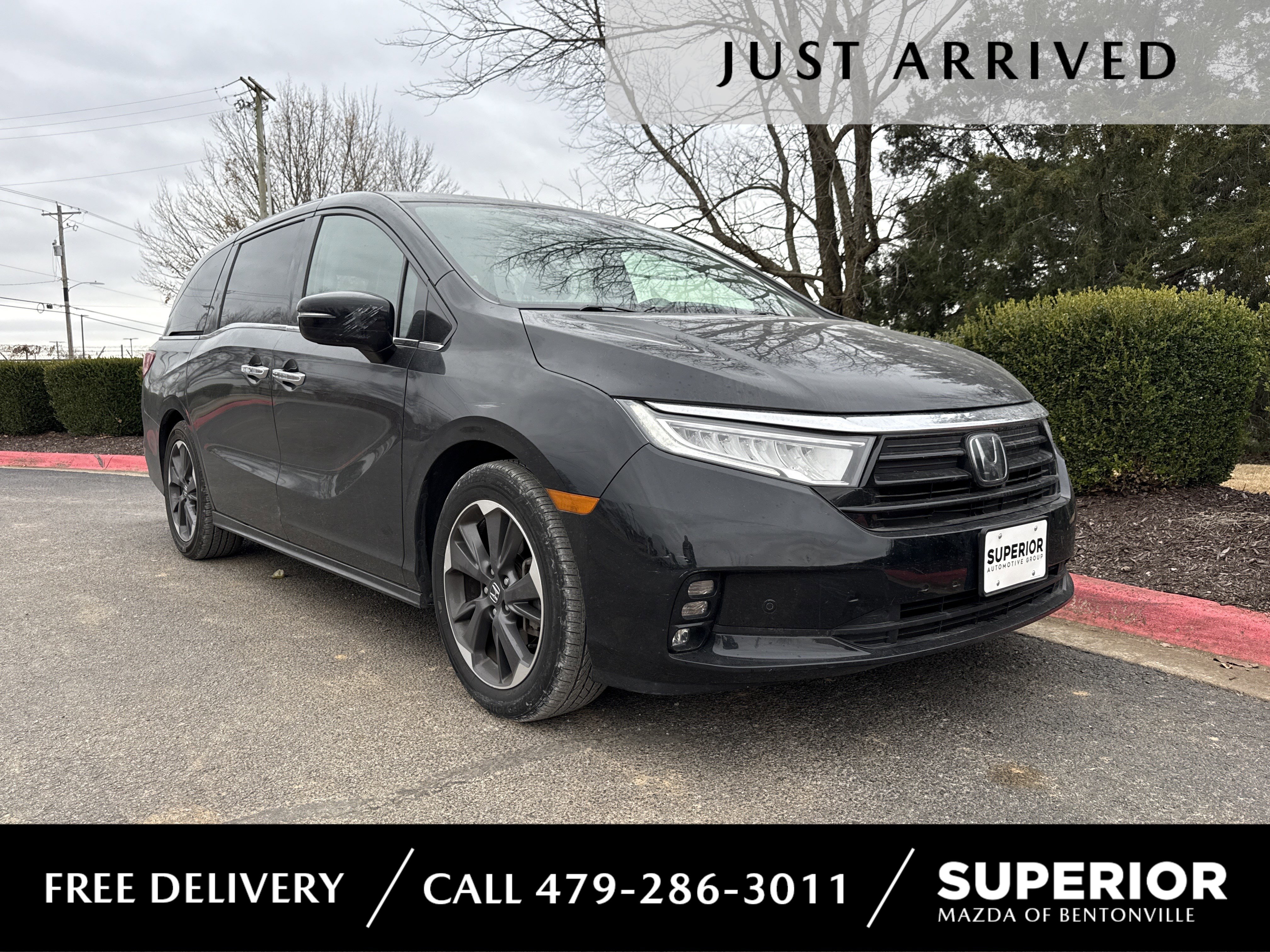 2023 Honda Odyssey Elite's photo