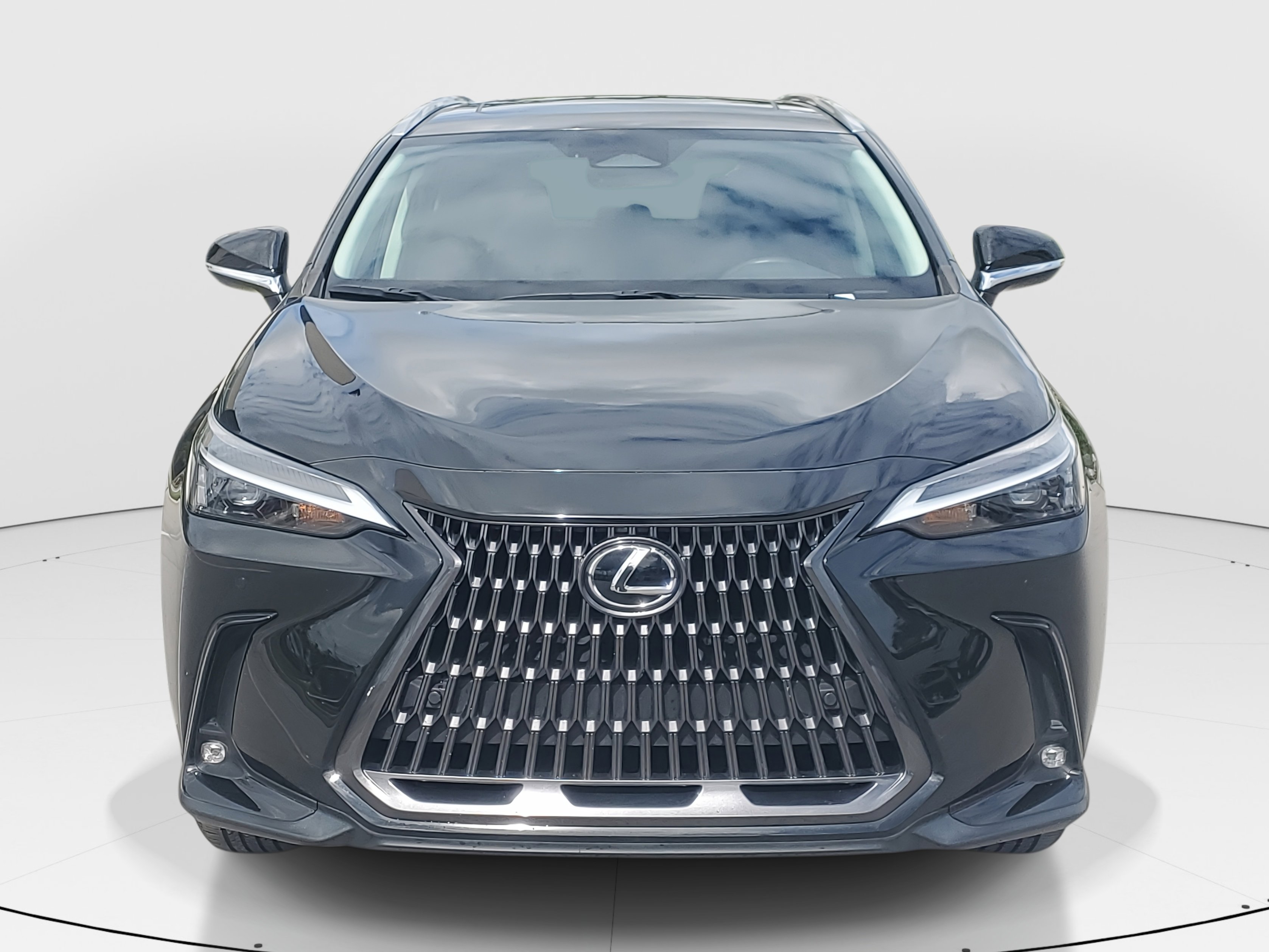 2024 Lexus NX 250 Premium photo 4