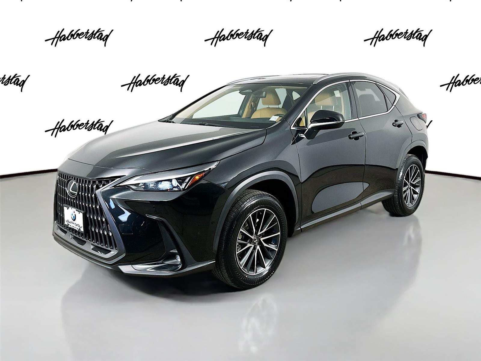 2024 Lexus NX 350's photo