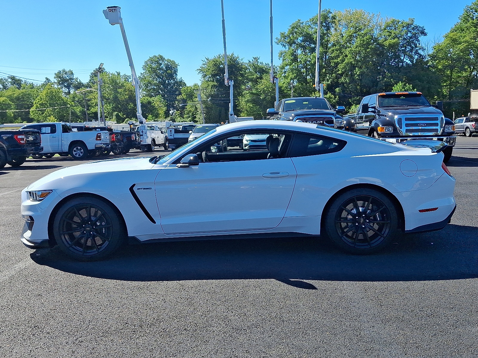 2016 Ford Mustang Shelby GT350 photo 6
