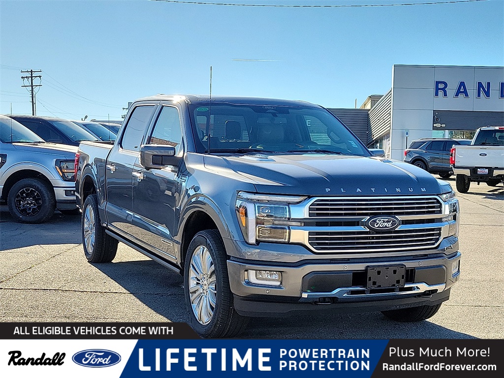 2025 Ford F-150 Platinum's photo