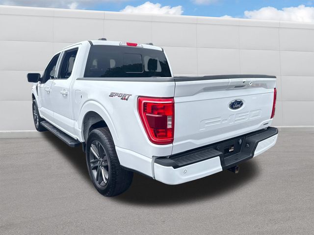 2023 Ford F-150 XLT photo 3