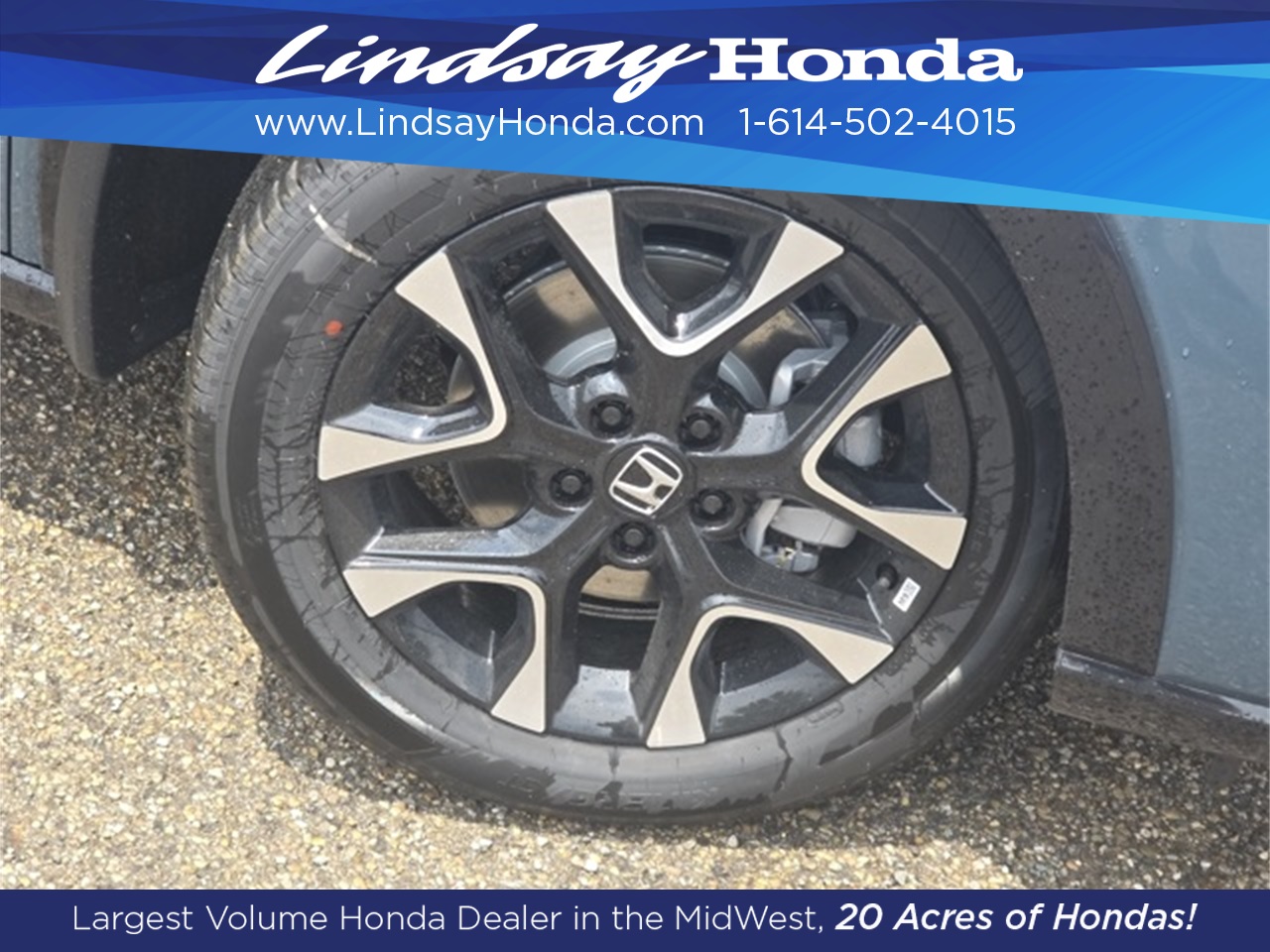 2026 Honda HR-V EX-L photo 5