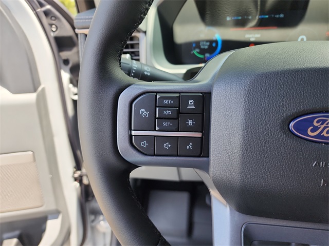 2025 Ford F-150 Lightning photo 24