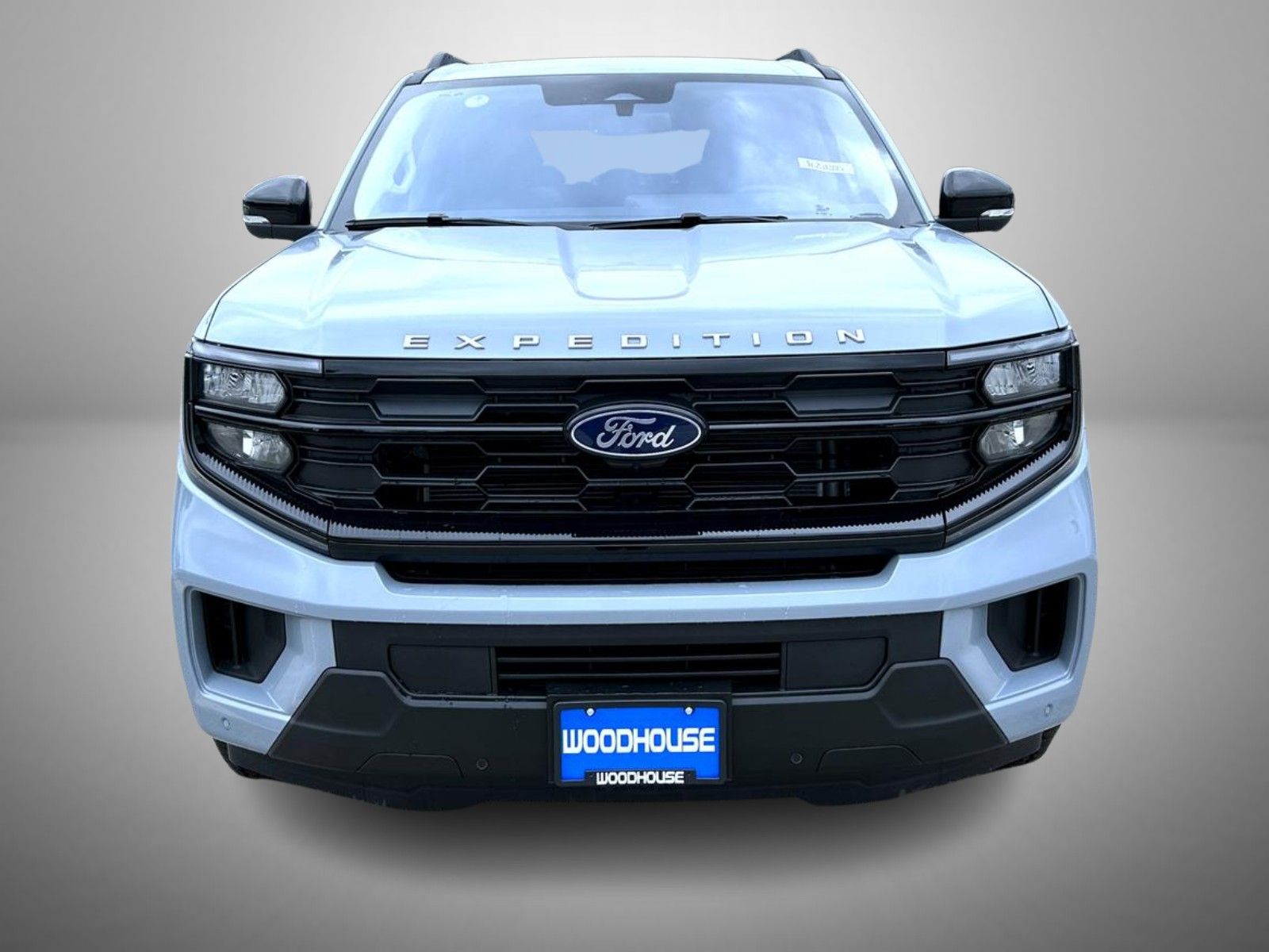 2025 Ford Expedition photo 2