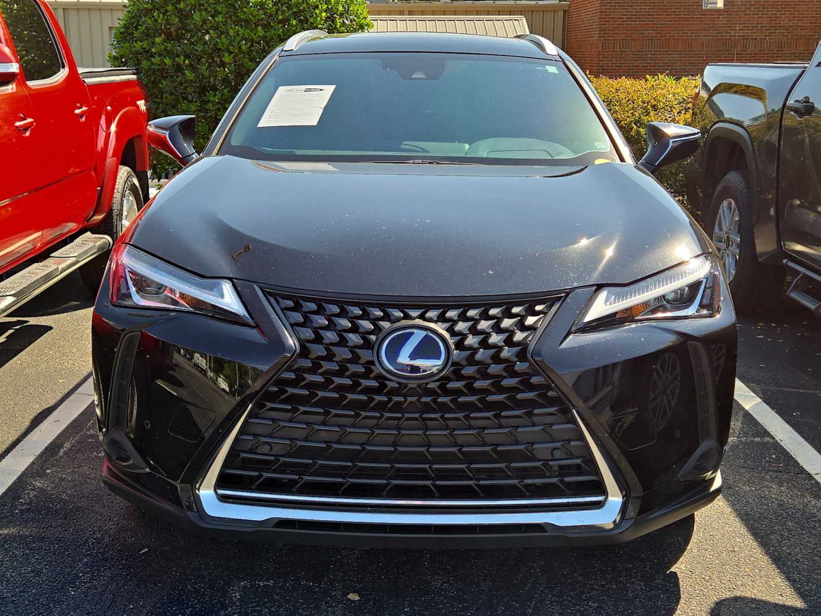 2021 Lexus UX 250h photo 2
