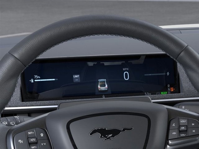 2025 Ford Mustang Mach-E GT photo 12