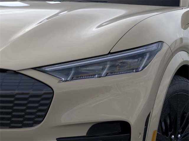 2025 Ford Mustang Mach-E GT photo 12