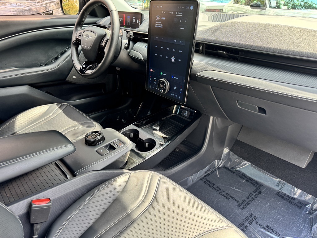 2021 Ford Mustang Mach-E Premium photo 9