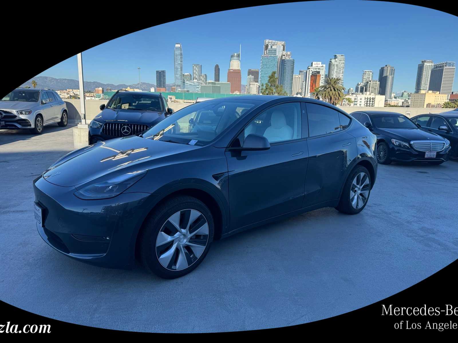 2023 Tesla Model Y Long Range's photo