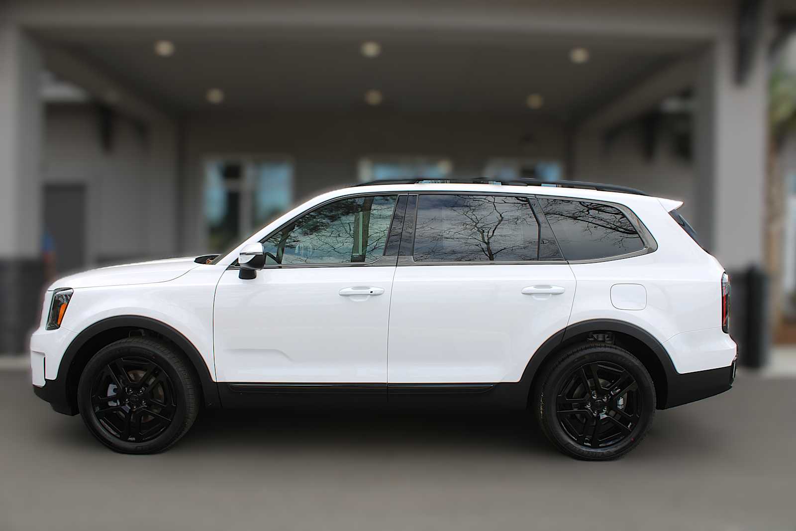 2025 Kia Telluride EX X-Line photo 4