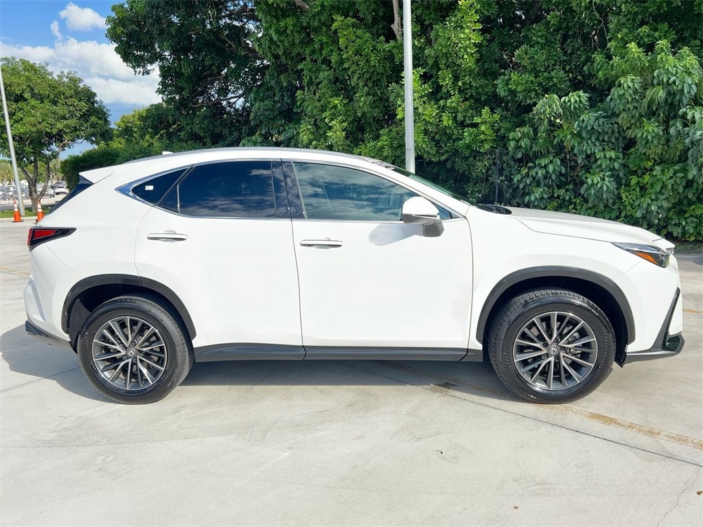 2025 Lexus NX 250 photo 4