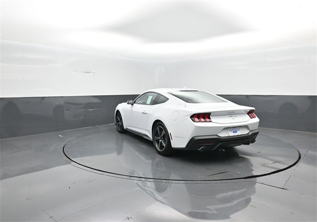 2025 Ford Mustang EcoBoost photo 3