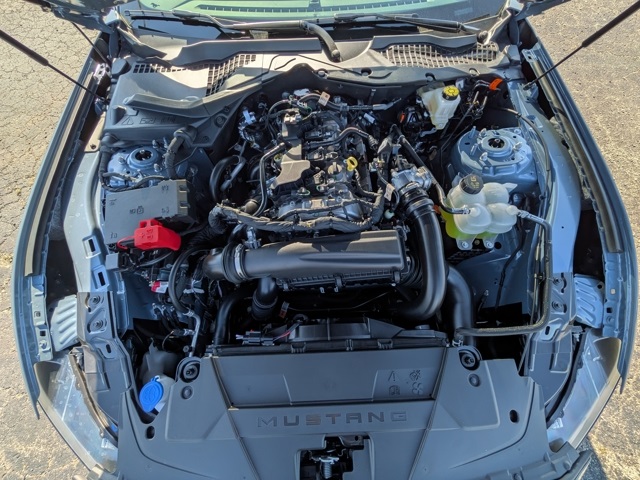 2025 Ford Mustang EcoBoost Premium photo 16