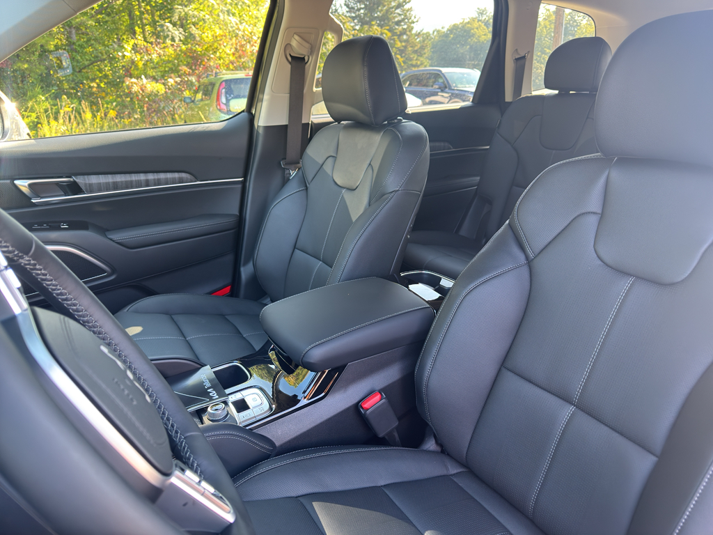 2025 Kia Telluride EX photo 6