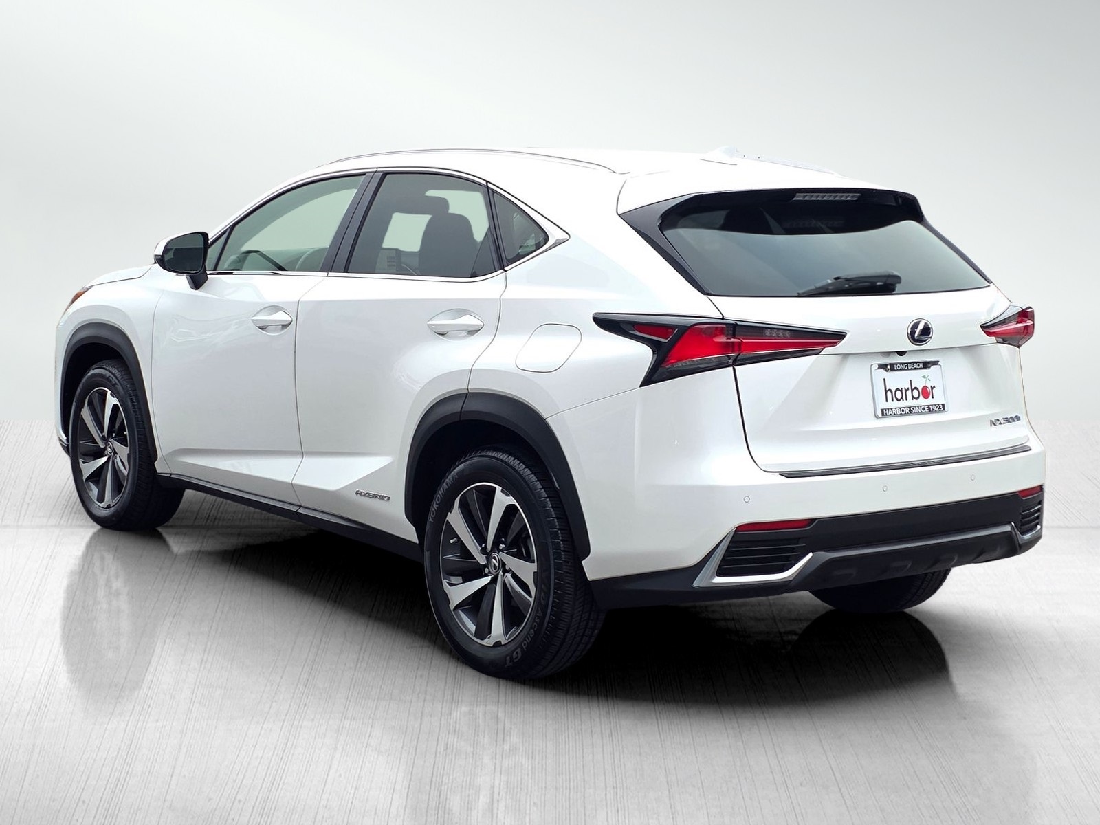 2018 Lexus NX 300h Luxury photo 4