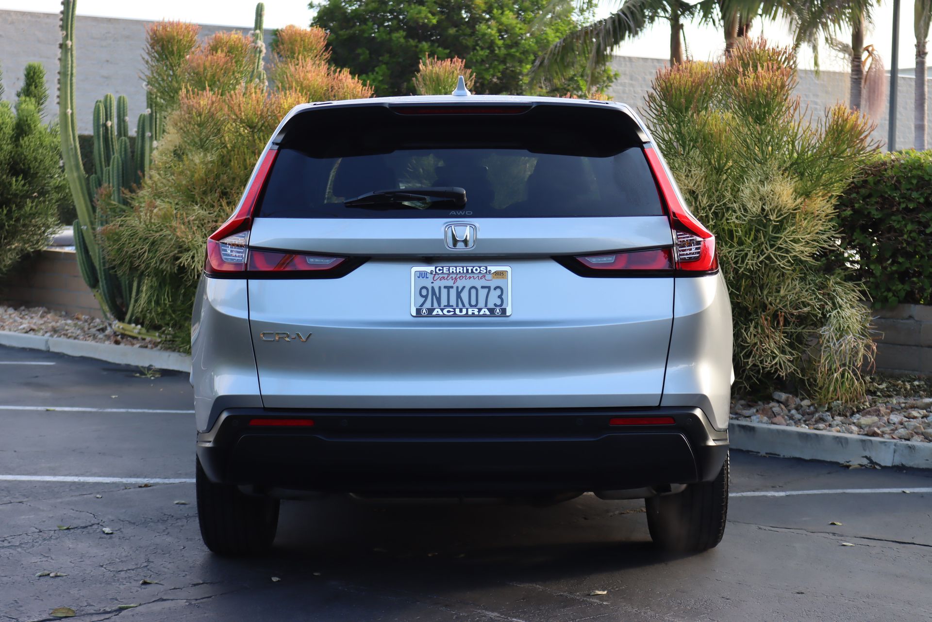 2024 Honda CR-V EX-L photo 4